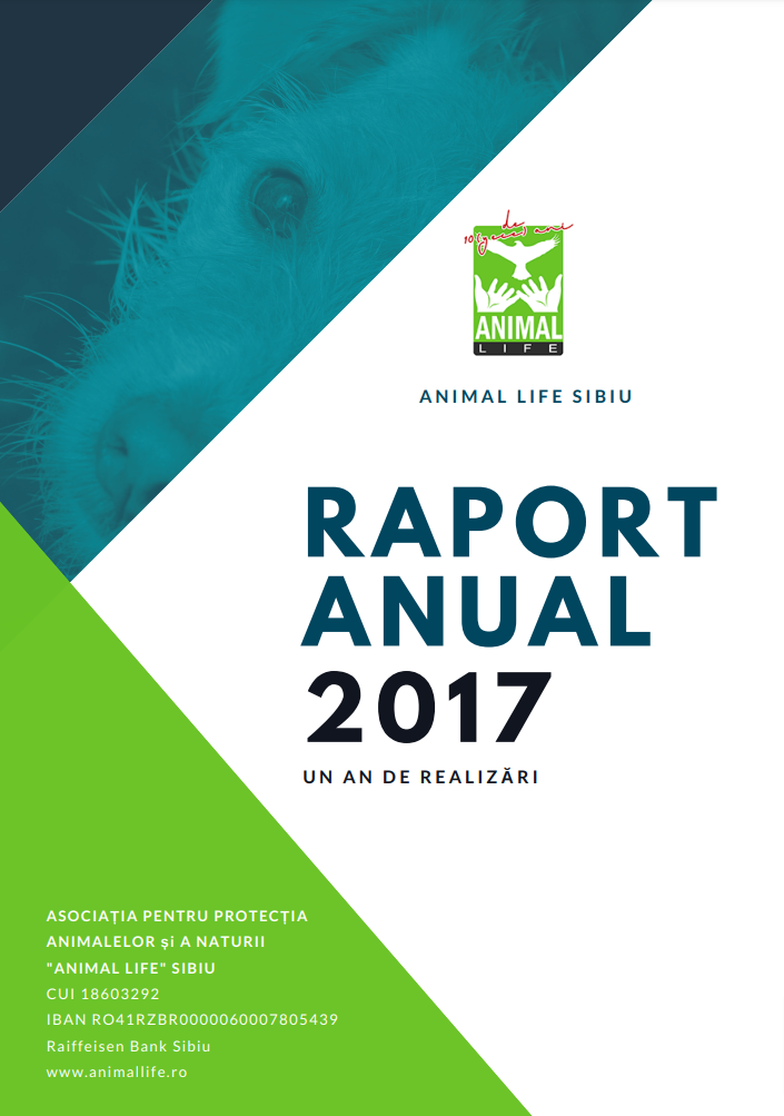 Raport anual 2017