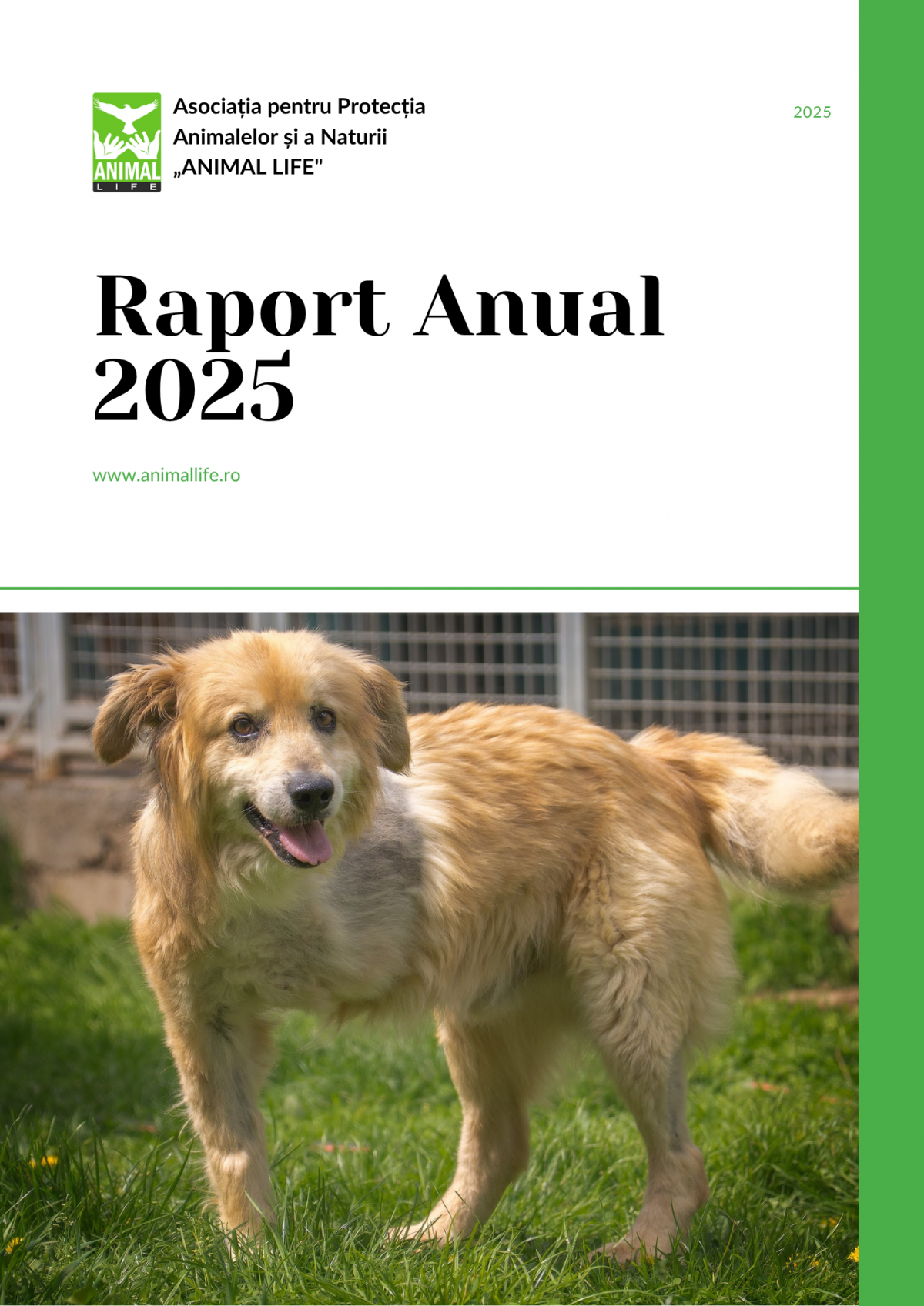 Raport anual 2025